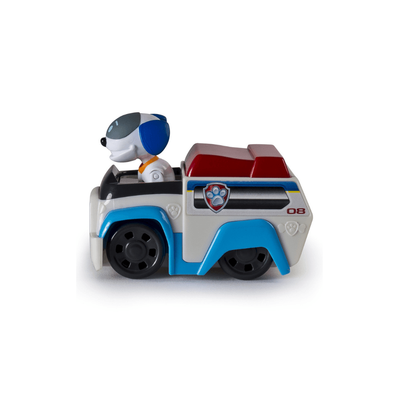 paw-patrol-surtidos