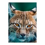 Rompecabezas-x-1000-piezas-coleccion-vida-2-lince-juego-didactico-para-amigos-y-familia