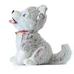 perro-de-peluche-lobo-siberiano