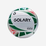 gol0028_1