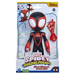 Spider negro